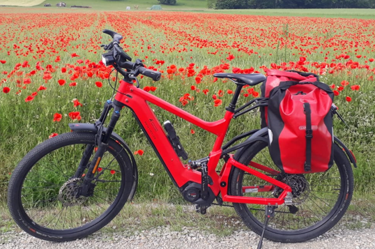 E-Bike SUV