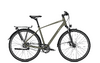 Raleigh RUSHHOUR 6.5 50 urbangreen matt