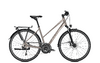 Raleigh RUSHHOUR 6.0 45 moonstonegrey glossy